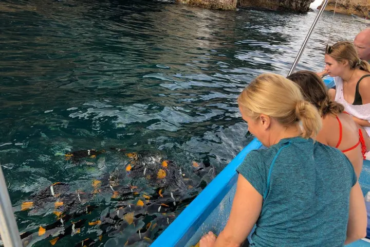 a little boy that is standing in the water
