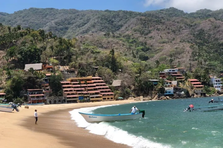 a group of people riding skis on a body of water
