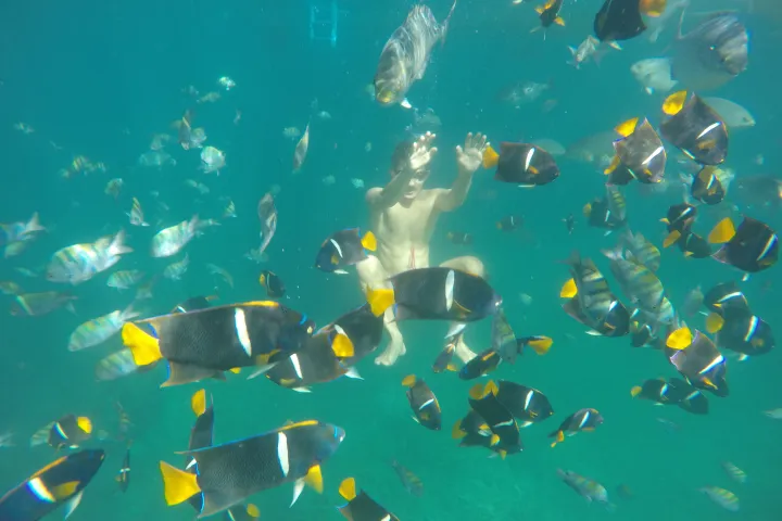underwater view of a swimming pool