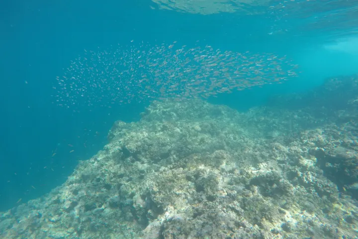 a large body of water