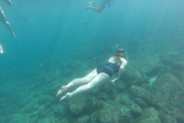 a person swimming in the water