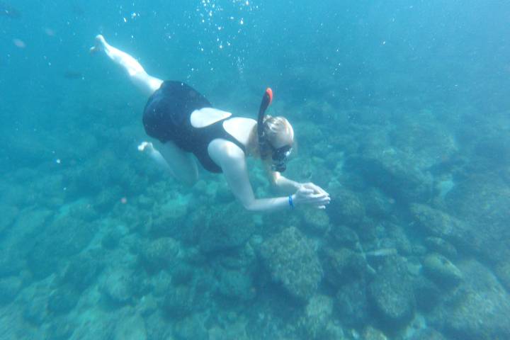 a bird swimming in water