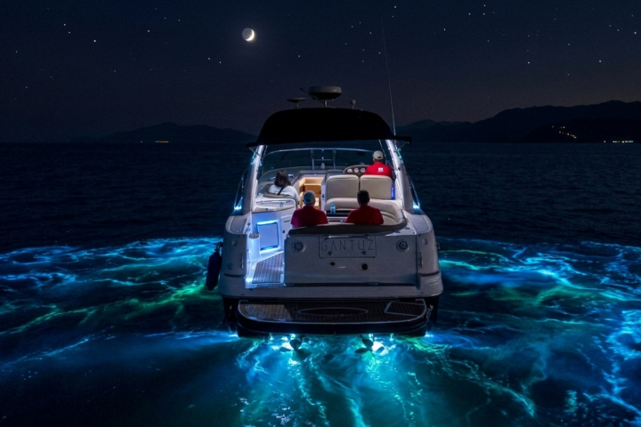 Boat with glowing blue water trails under a starry night sky.