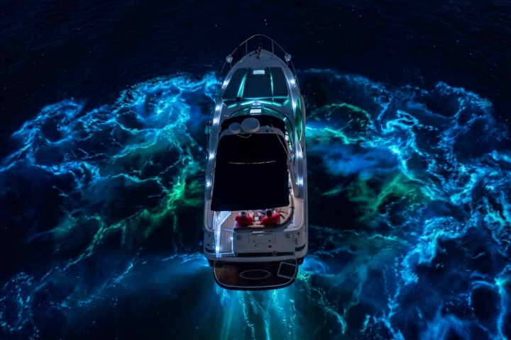 Boat at night surrounded by glowing bioluminescent water.