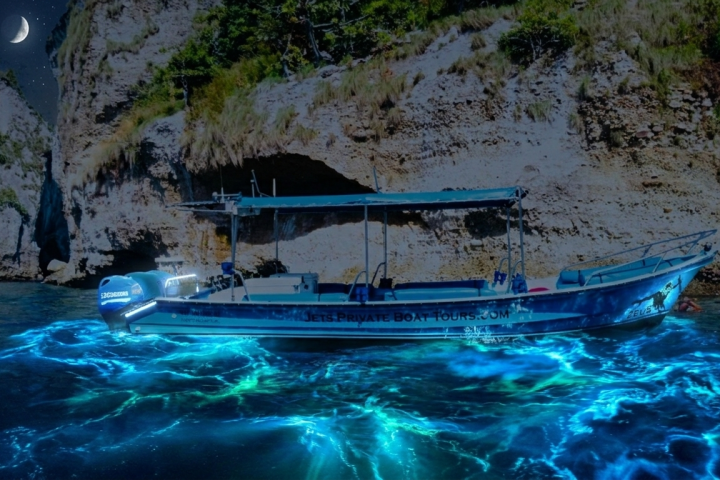 Nighttime boat on glowing water with rocky cliffs and crescent moon.