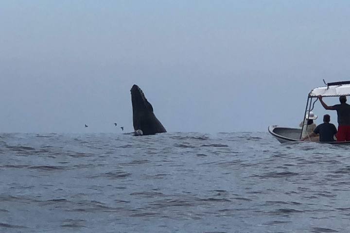 a small boat in a body of water