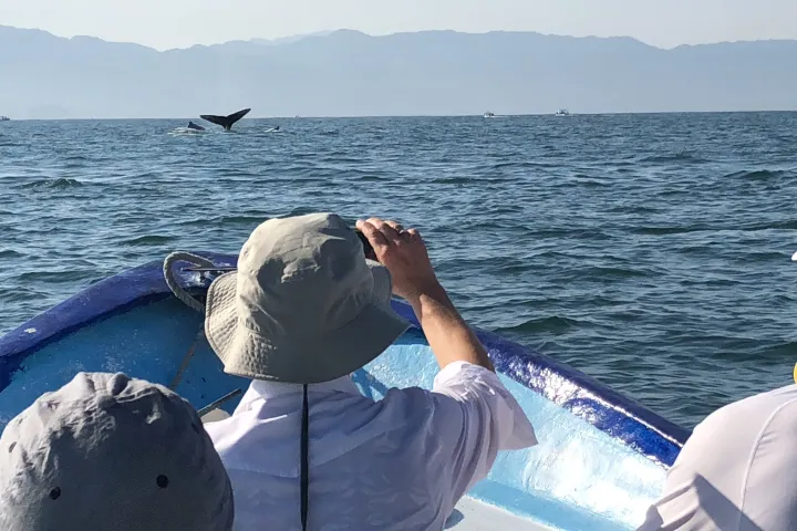 a person sitting in a boat on a body of water
