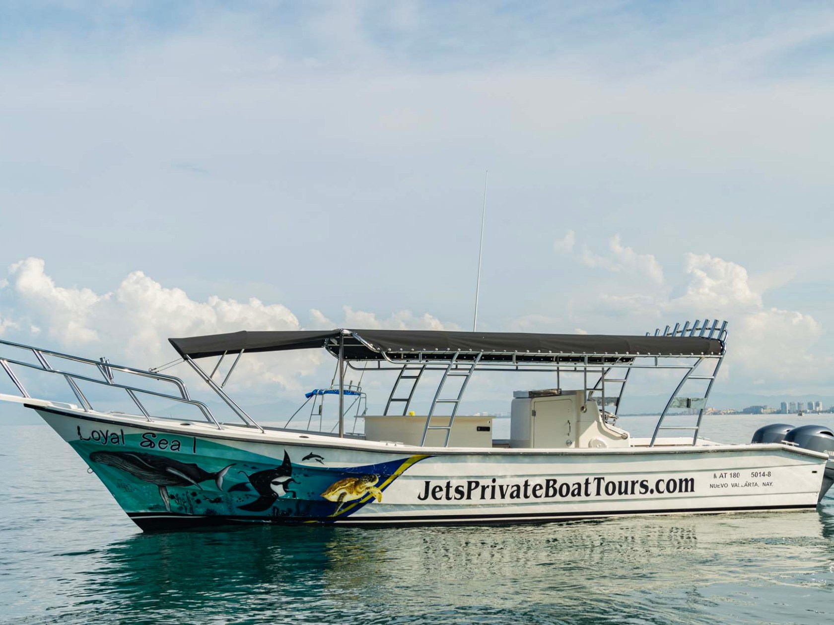 a large ship in the water