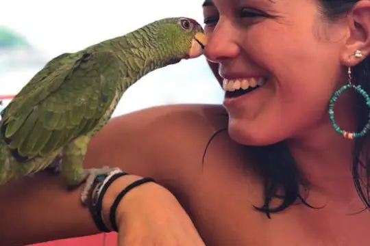 a woman holding a bird