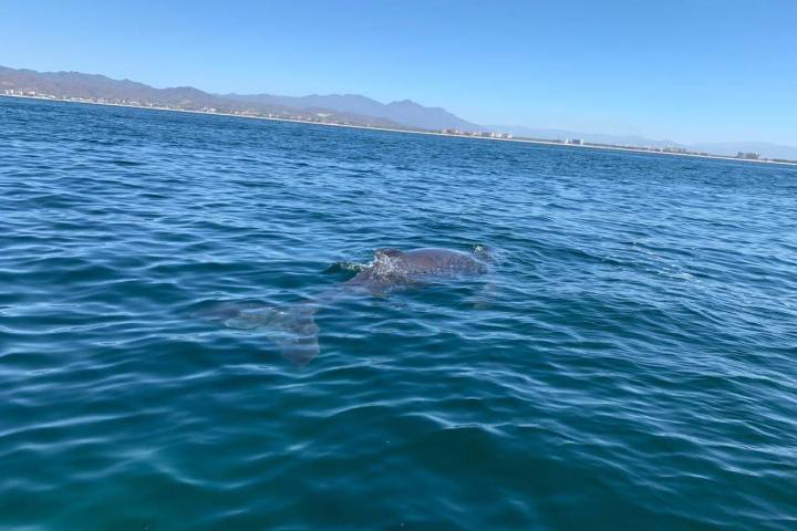 a large body of water