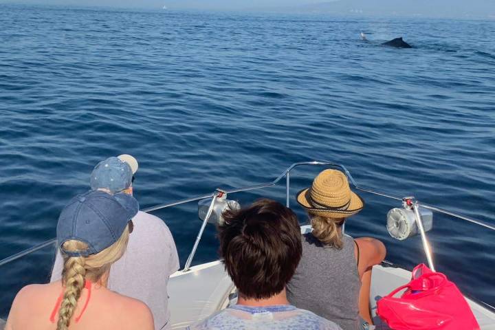 a person sitting on a boat in a body of water