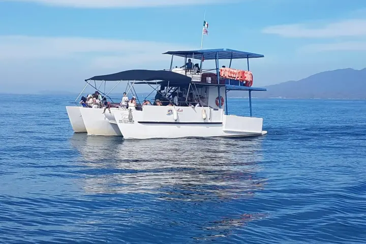 a blue and white boat floating on a body of water
