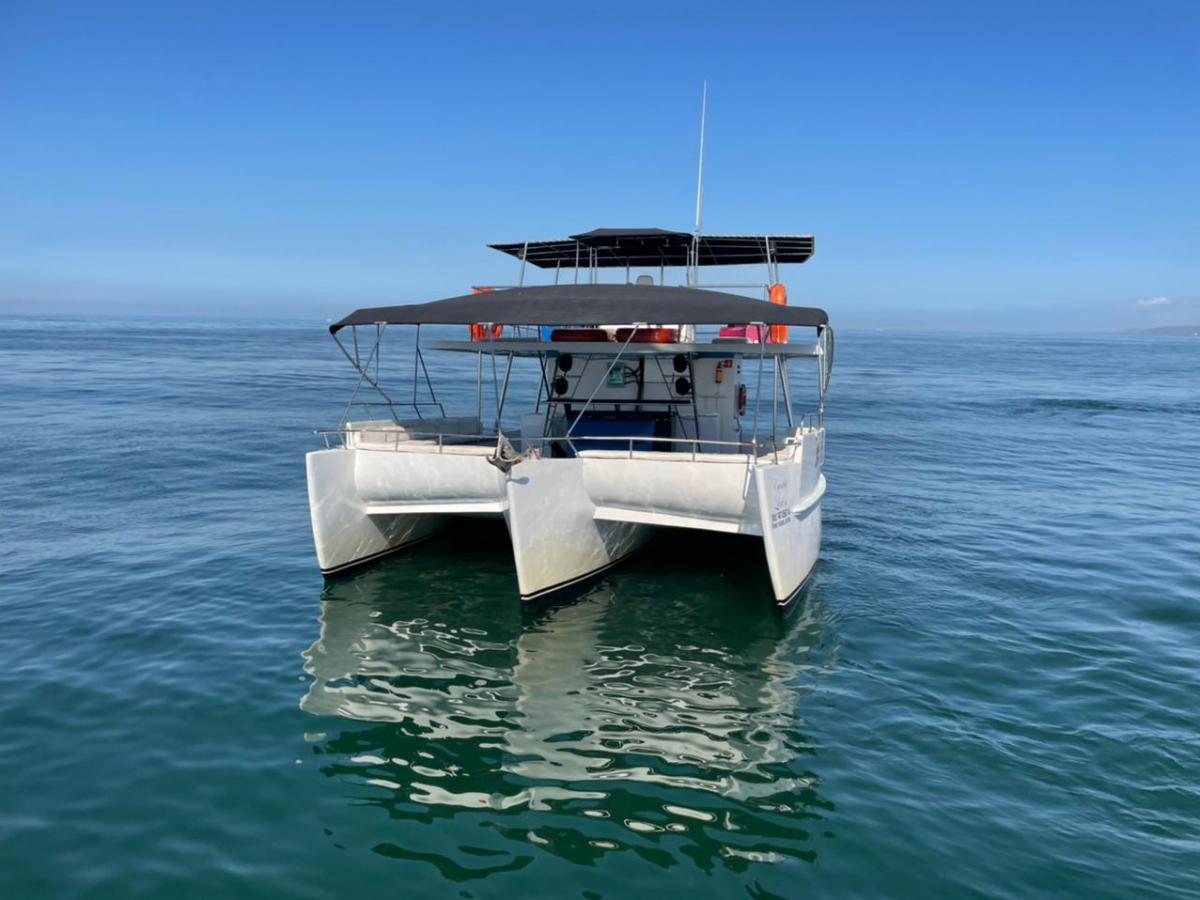 Catamaran boat on calm sea under clear blue sky.
