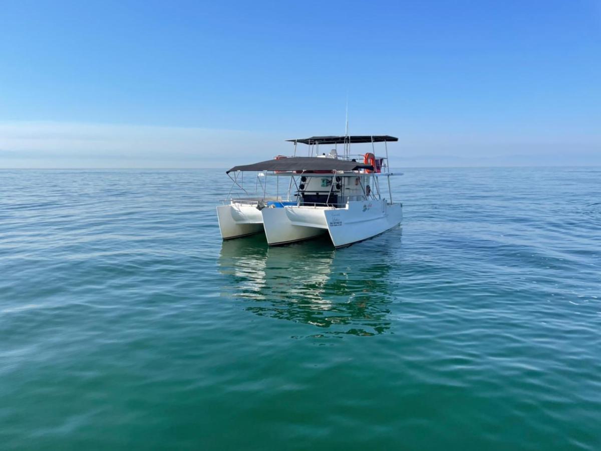 A white catamaran with a canopy floats on calm blue water under a clear sky.