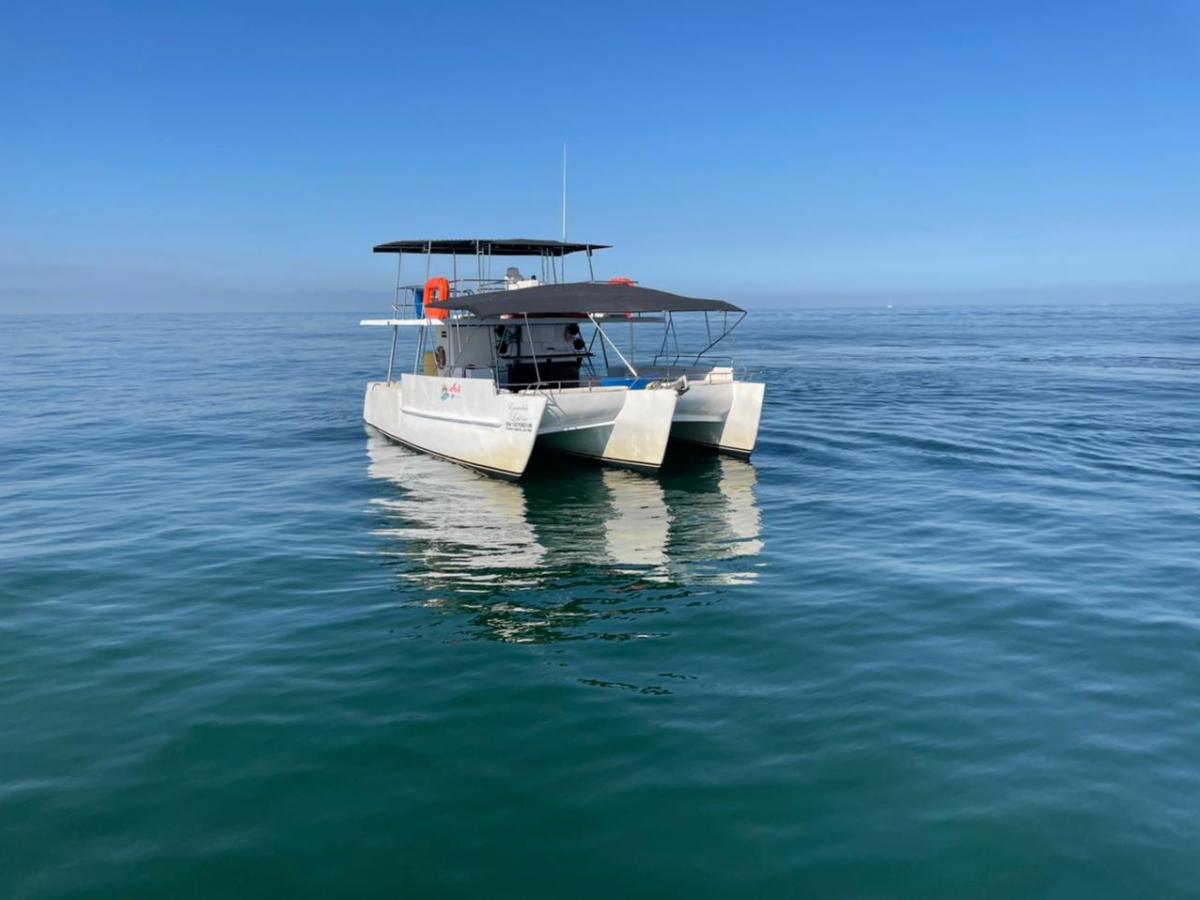 White catamaran on calm blue sea under clear sky.