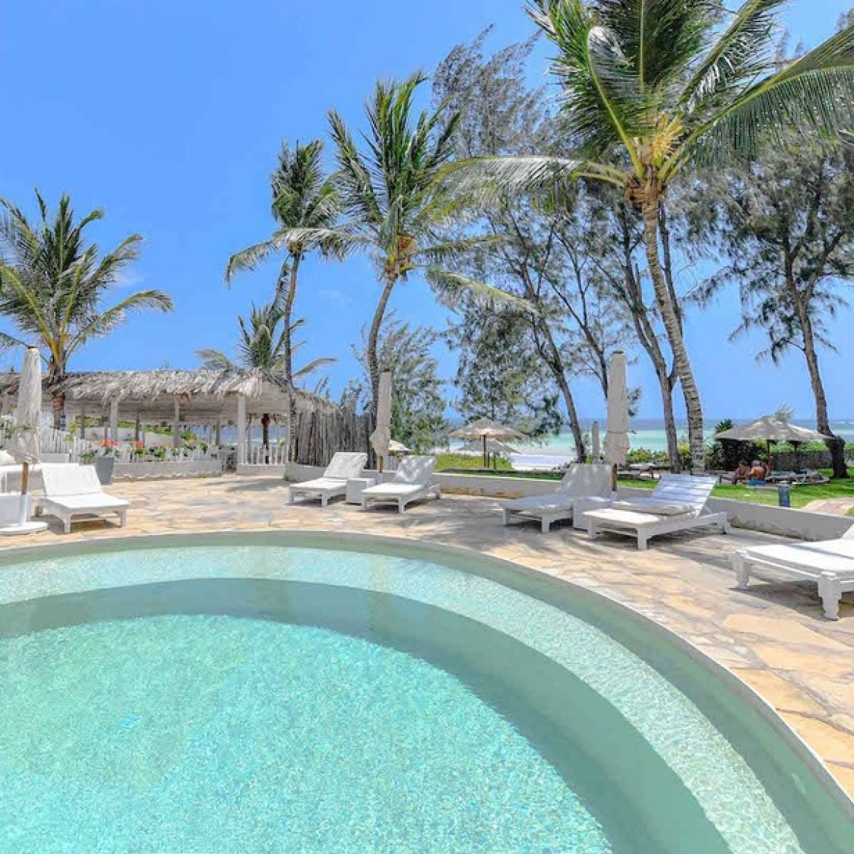 a pool next to a palm tree