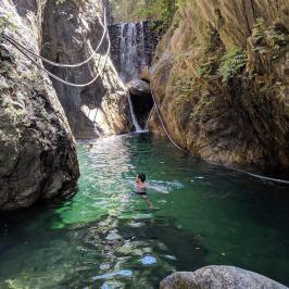 a rocky river with trees in the background