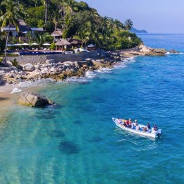 a group of people swimming in a body of water