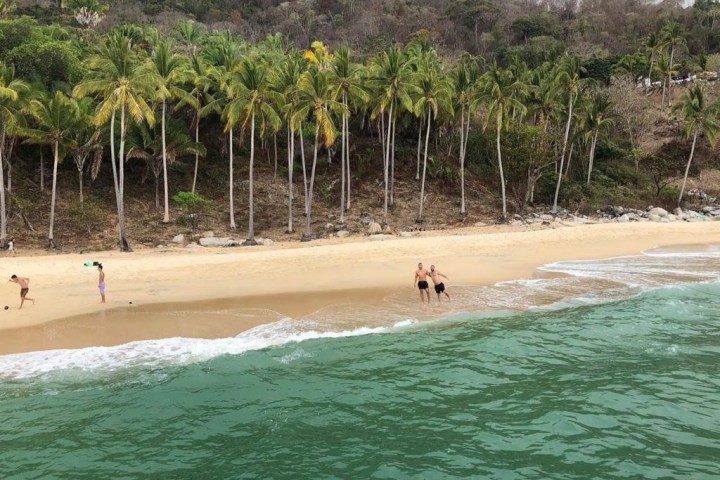 a group of people swimming in a body of water