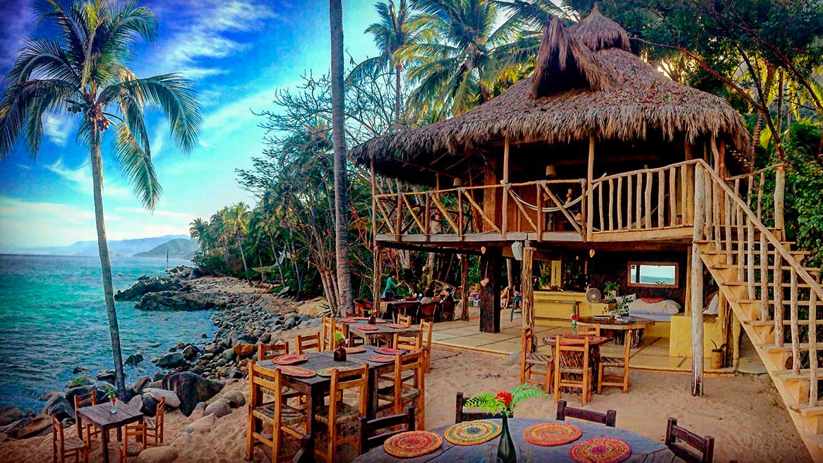a group of palm trees on a beach
