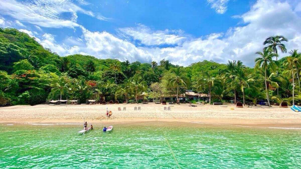 a group of people swimming in a body of water