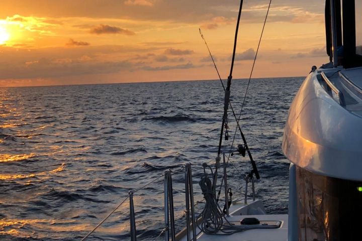 a close up of a boat in the water