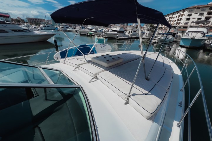 Boat with cushioned seating under canopy docked at marina with other boats.