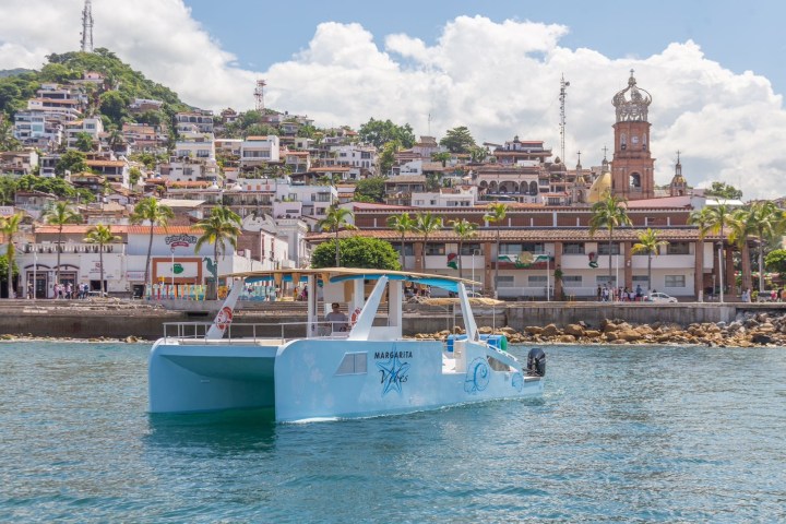 Catamaran on water with town and church tower in the background under blue sky.