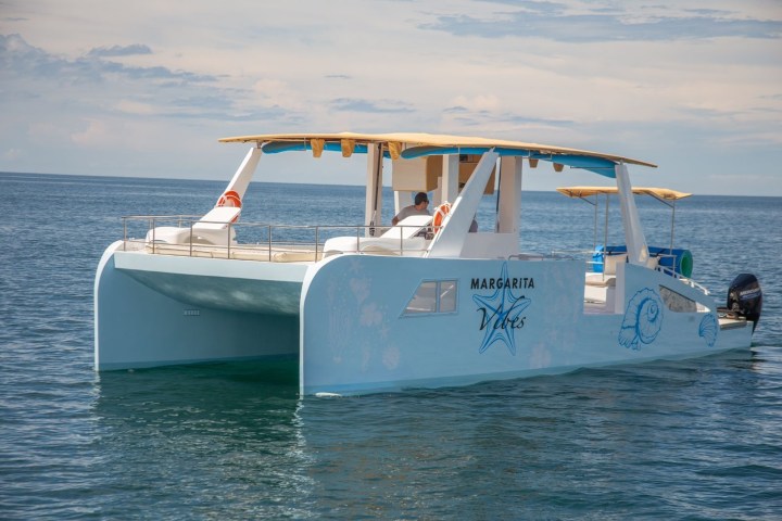 Catamaran on the water with a starfish logo and wooden canopy, featuring two outboard motors.