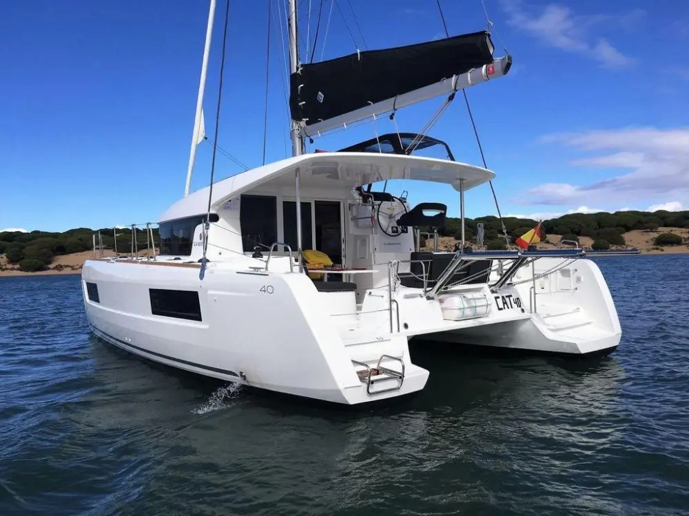 White catamaran sailboat on the water under a blue sky near a tree-lined coastline.