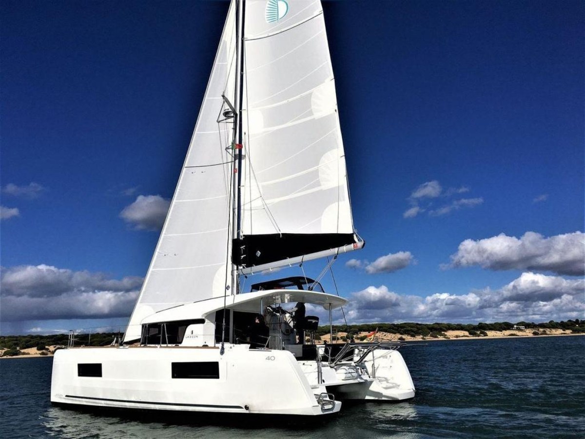 White catamaran sailing on calm water with clear blue sky and distant shoreline.