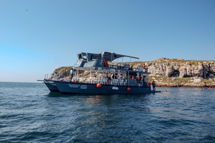 Tour boat on calm sea near rocky coast under clear sky.