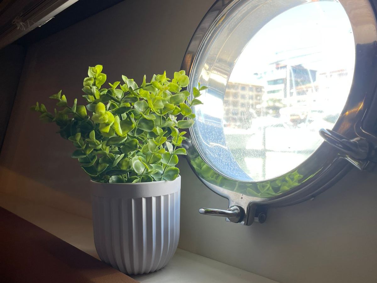 Potted plant on windowsill by a round porthole window.