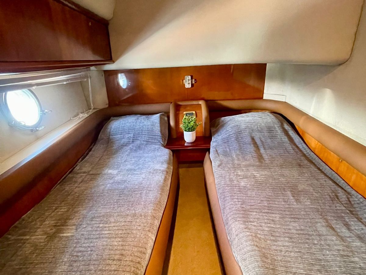 Small boat cabin with two single beds and a potted plant on a center shelf.