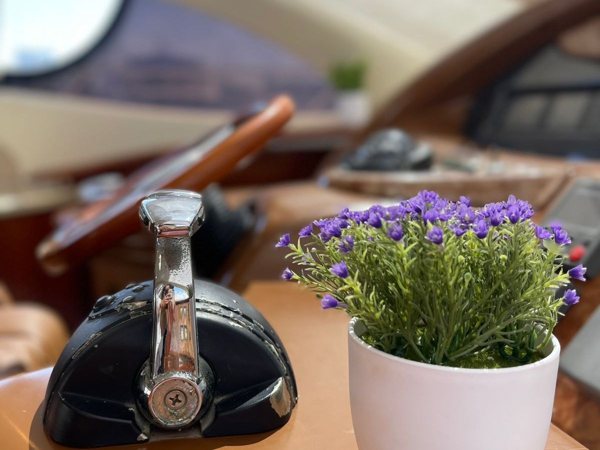 Boat cockpit with throttle lever and potted purple flowers.